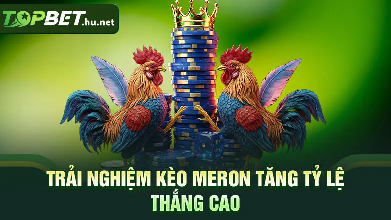 Trải nghiệm kèo Meron tăng tỷ lệ thắng cao